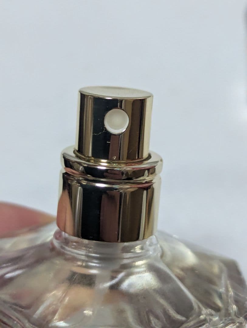 廃盤希少カネボウトワニーミラノコレクション2010オードパルファム30ml