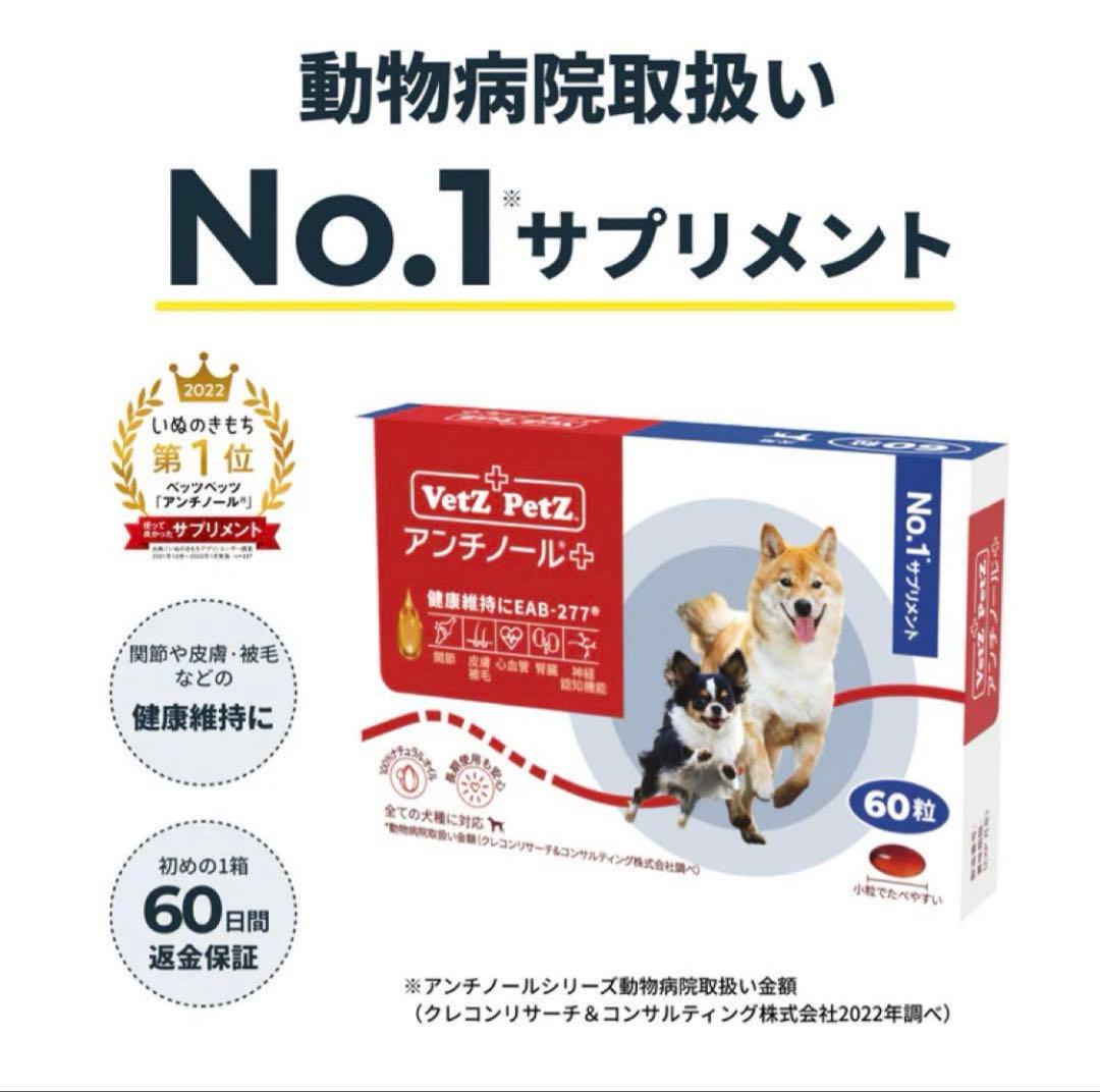 アンチノール60錠入り　１箱
