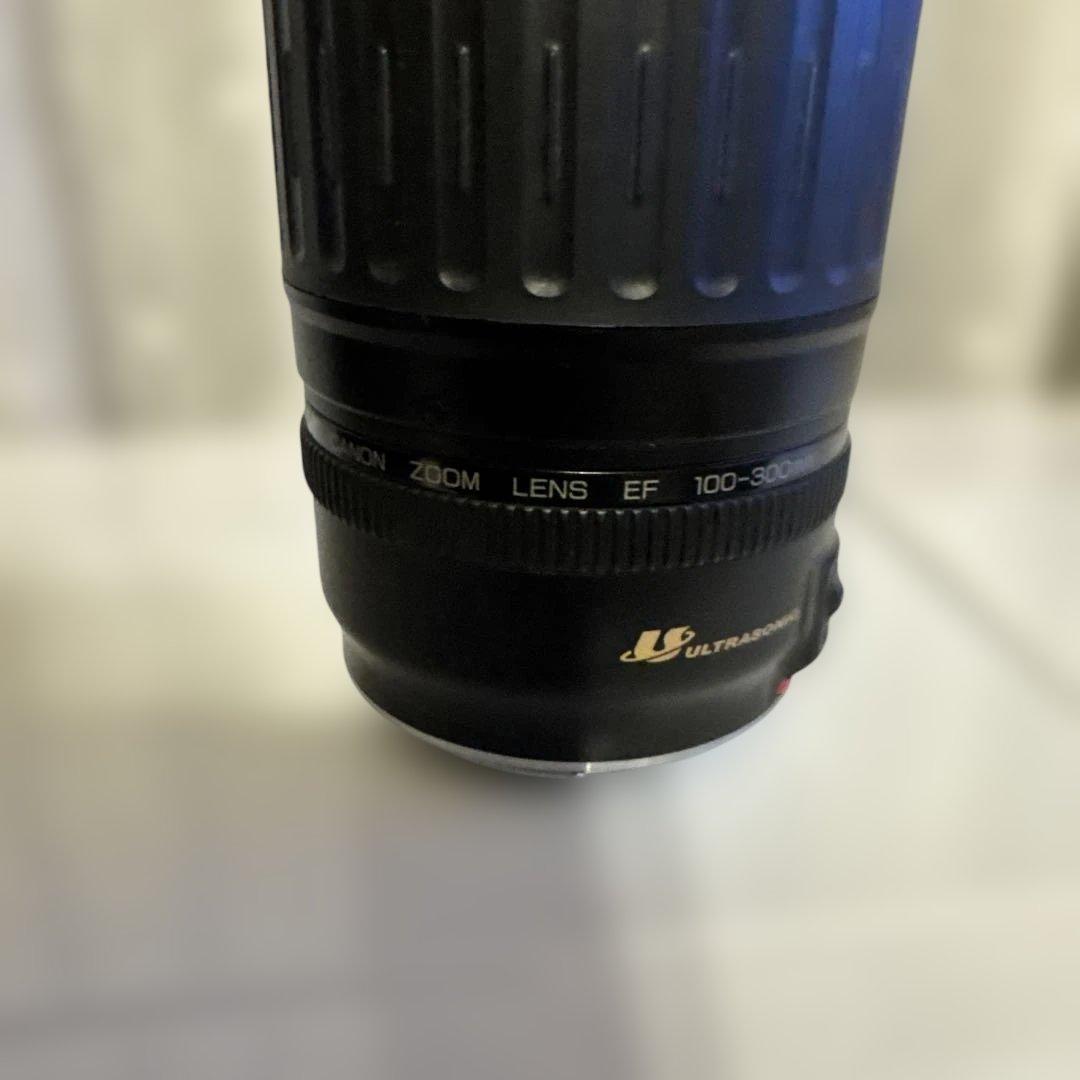 Canon 100-300mm ズームレンズ