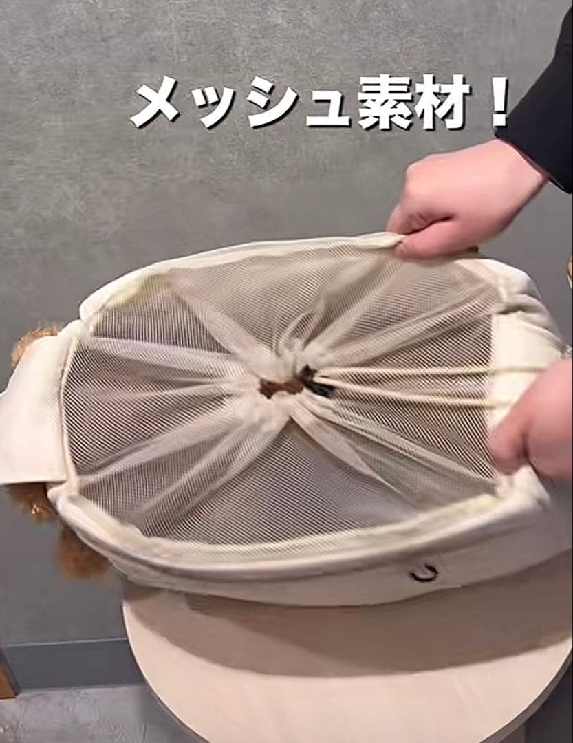 【新品】3COINS ひょっこり顔出しバッグ　本日発売商品♡※オンライン完売商品