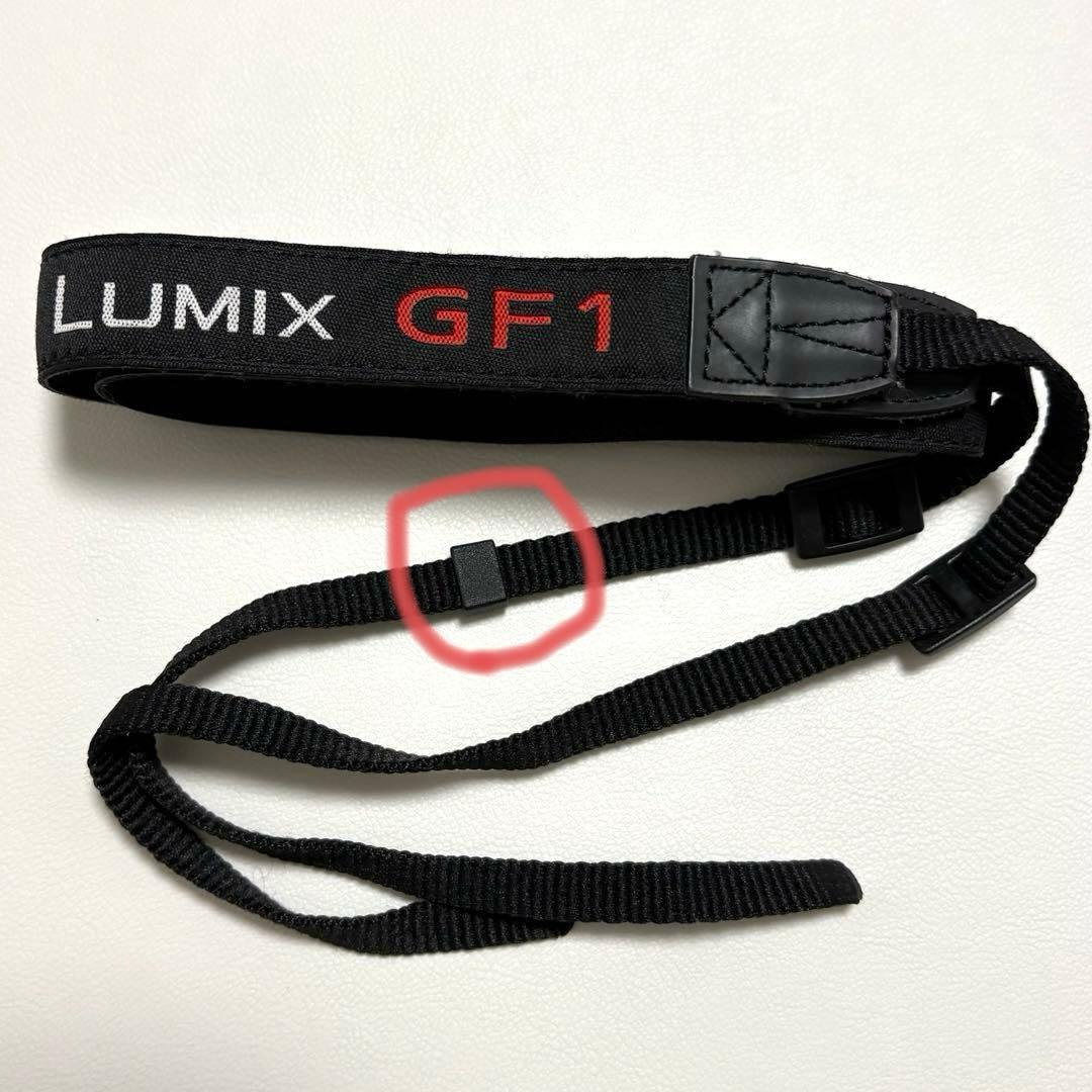 Lumix DMC-GF1 レンズキット&望遠ズームレンズ パナソニック