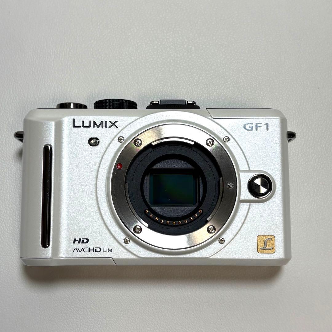 Lumix DMC-GF1 レンズキット&望遠ズームレンズ パナソニック