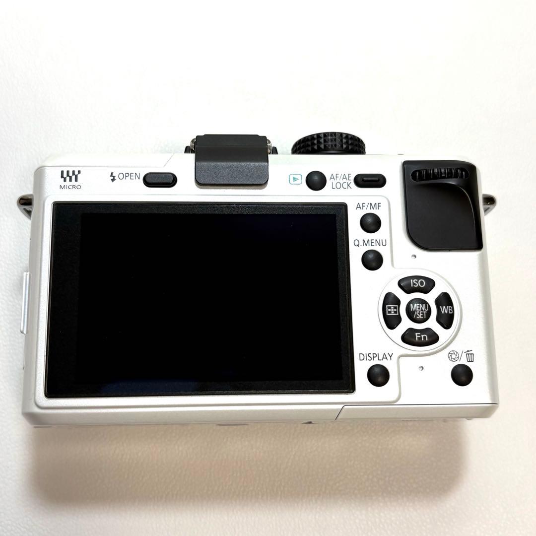 Lumix DMC-GF1 レンズキット&望遠ズームレンズ パナソニック