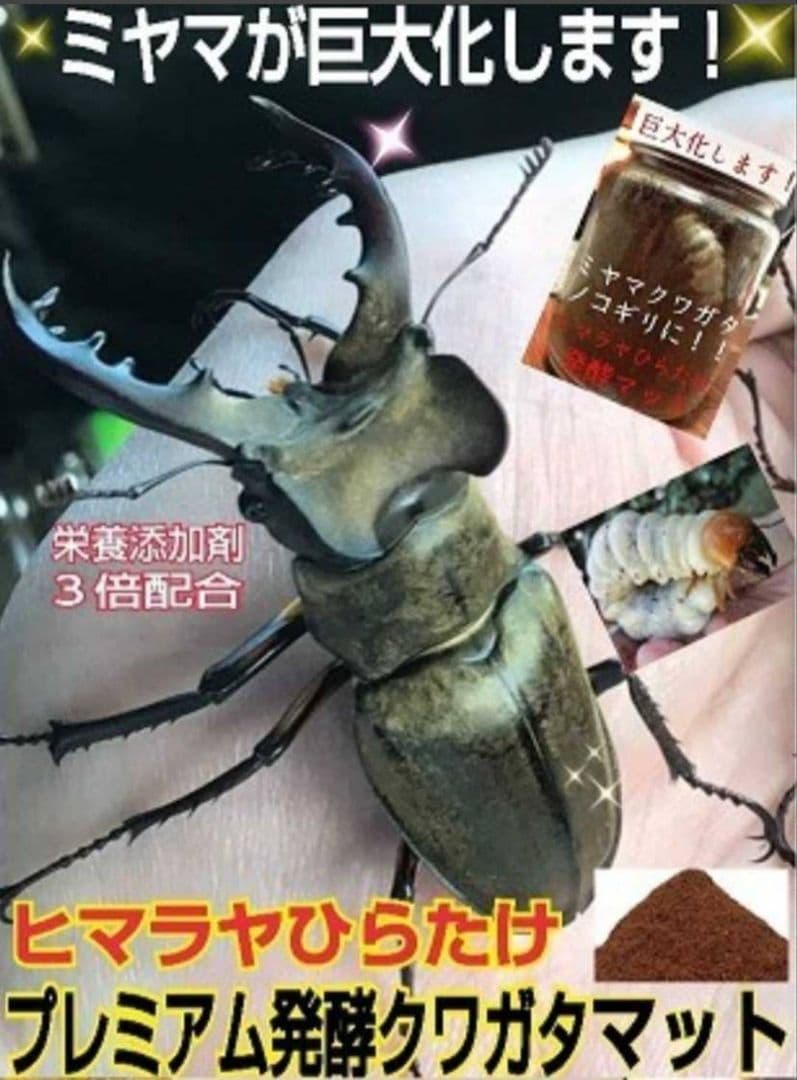 極上品！ヒマラヤひらたけプレミアム3次発酵クワガタマット【40L】栄養添加剤3倍