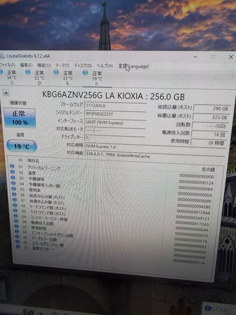 KIOXIA BG6 256GB SSD PCIe Gen4×4 100%