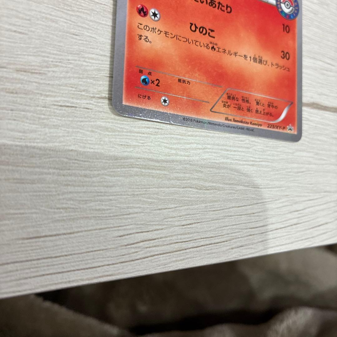 ポケモンカード ヒノアラシ ポケモンセンター プロモ 223/xyーp