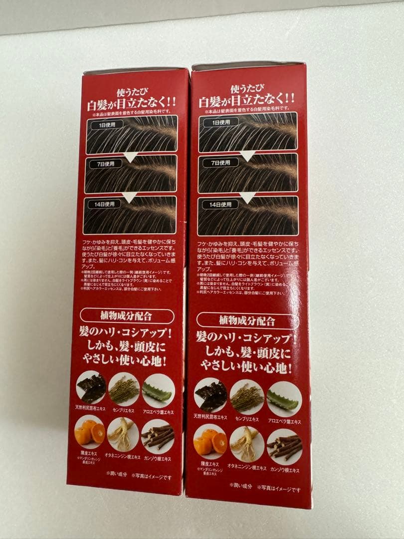 Sastty 利尻ヘアエッセンスライトブラウン ヘアミスト 白髪かくしブラック