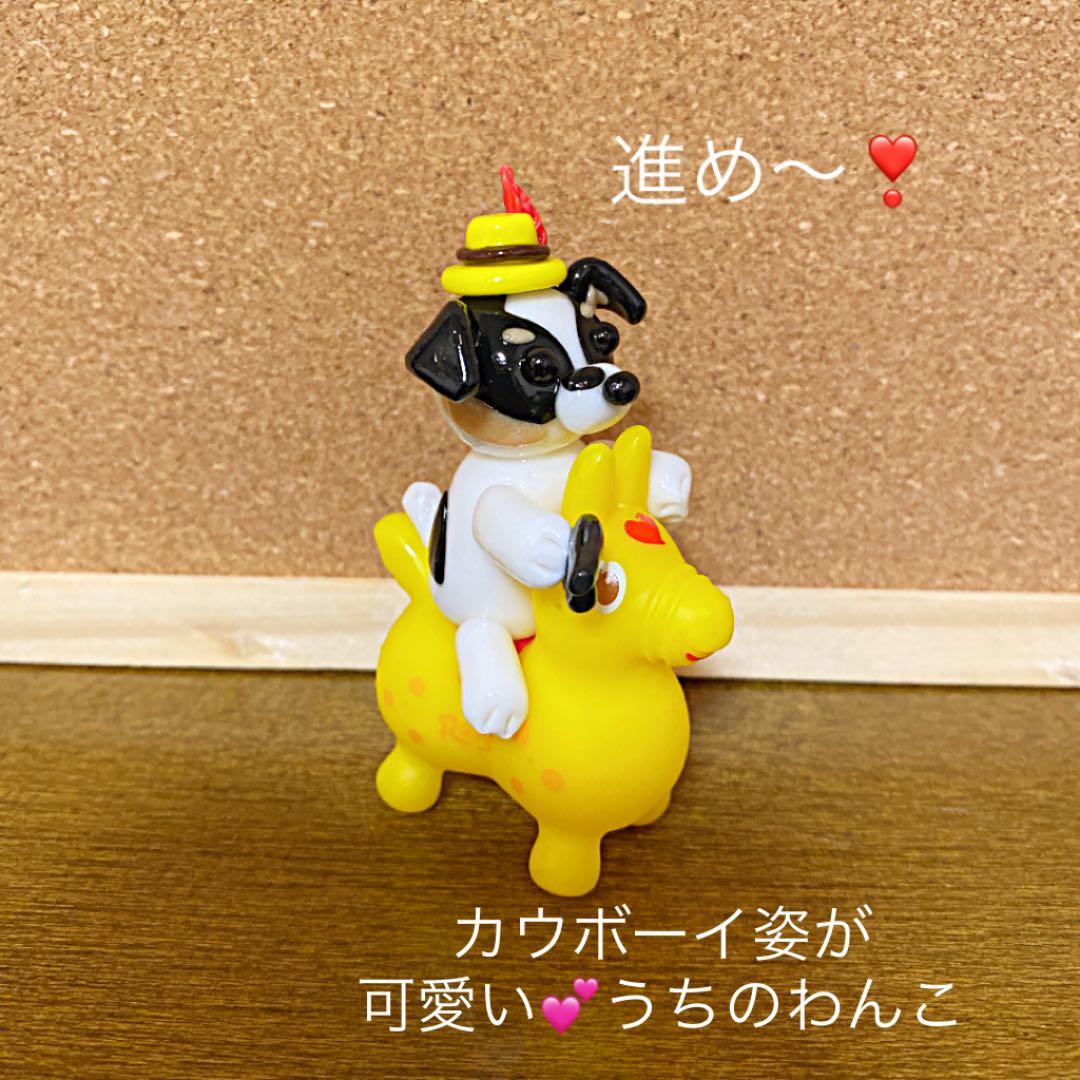 M様❤チワワ プーコでカウボーイ❣️