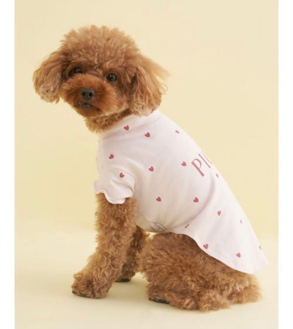 ２点セット新品Lサイズ犬 服 「CAT＆DOG」ハート柄　オータムケーキ柄