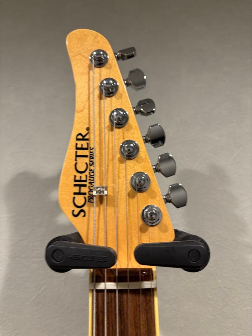 SCHECTER PS-PT-RH/VNT/PF リバースヘッド　特別オーダー