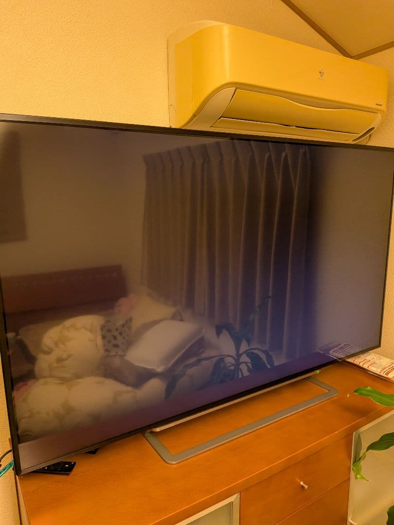 TOSHIBA REGZA 55G20X 55V型＆1tbHD＆fireTV付き