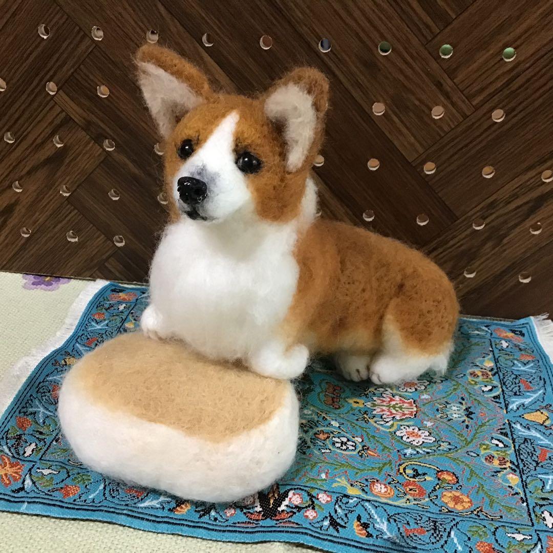 コーギー（蒸しパンクッションに乗って❣️）