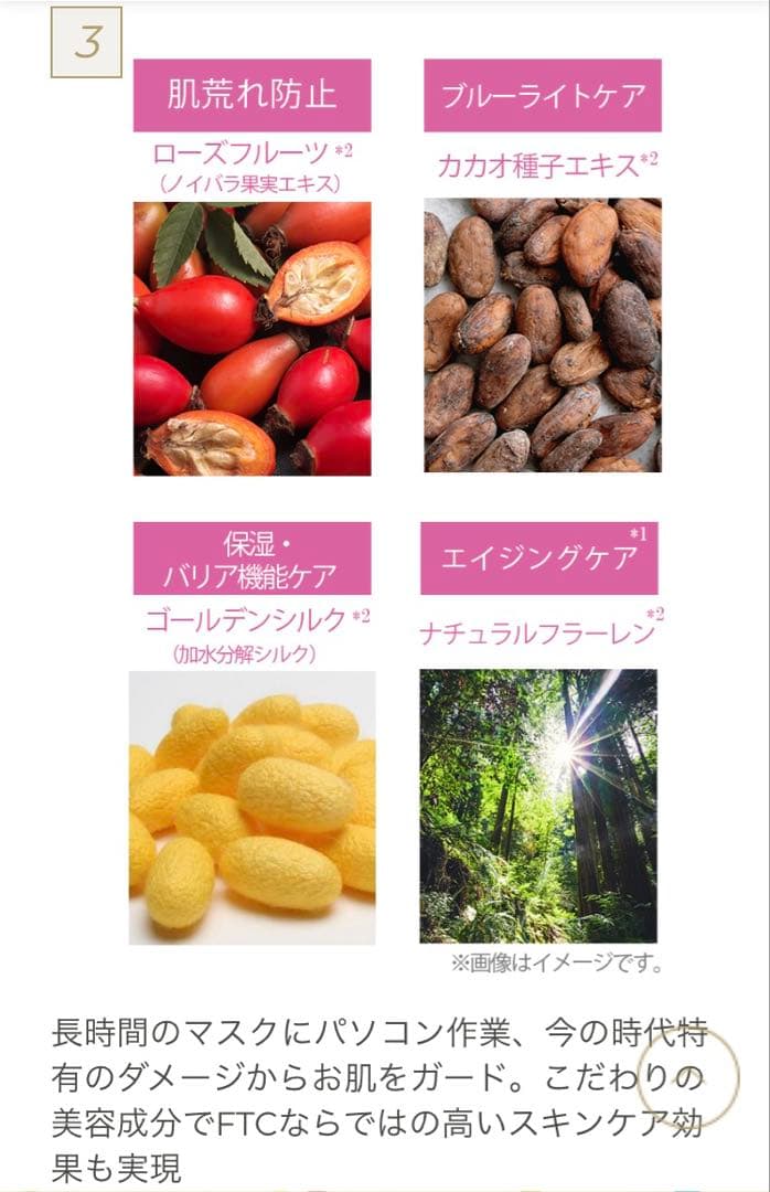 FTC FFマイクロスムースパウダー クリスタリュクス&オリジナルフェイスブラシ