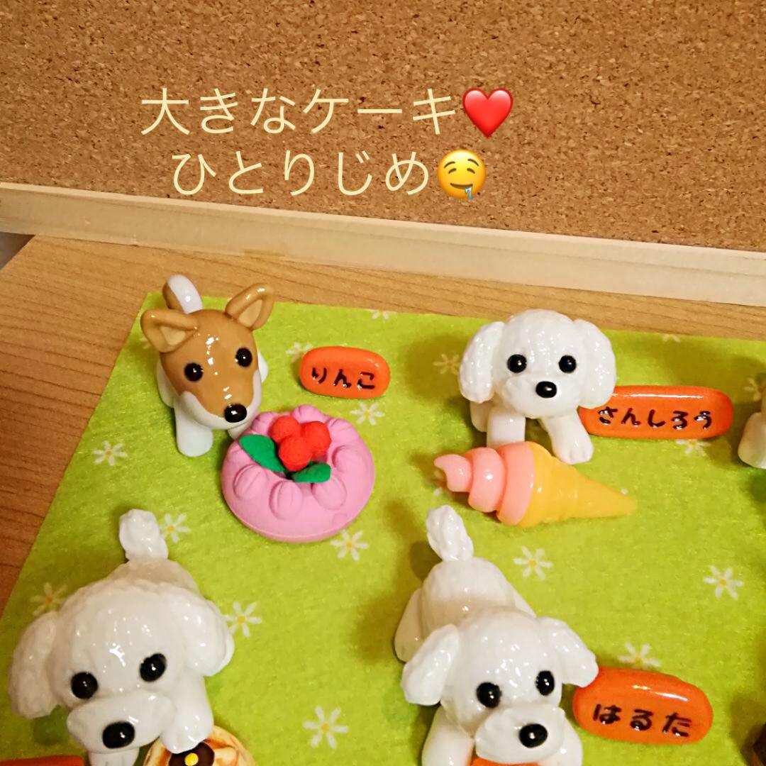 AKKA様❤マルチーズ 柴犬 ピクニック オブジェ♡