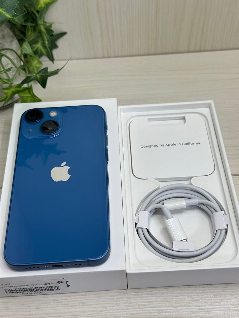 ✅✨美品✨iPhone 13 Mini 256GB ブルー❣️100％