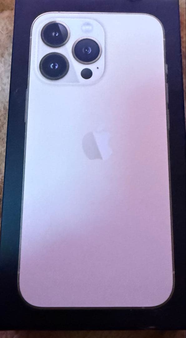 【画面割れあり】iPhone13Pro 256GB【画面交換歴有】