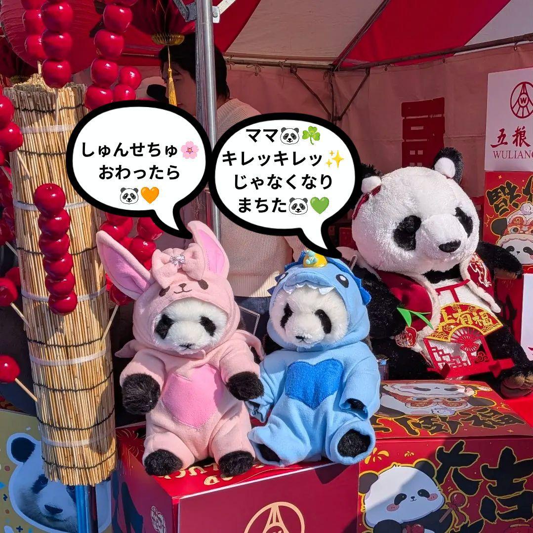 【まゆみっち様オーダー】だっこシャオレイ♡怪獣＆うさぎ変身コスチュームセット