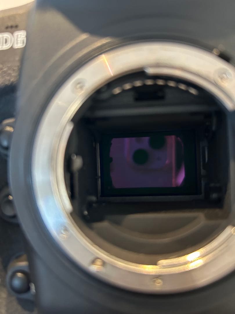 Nikon D6 デジタル一眼レフカメラ 本体