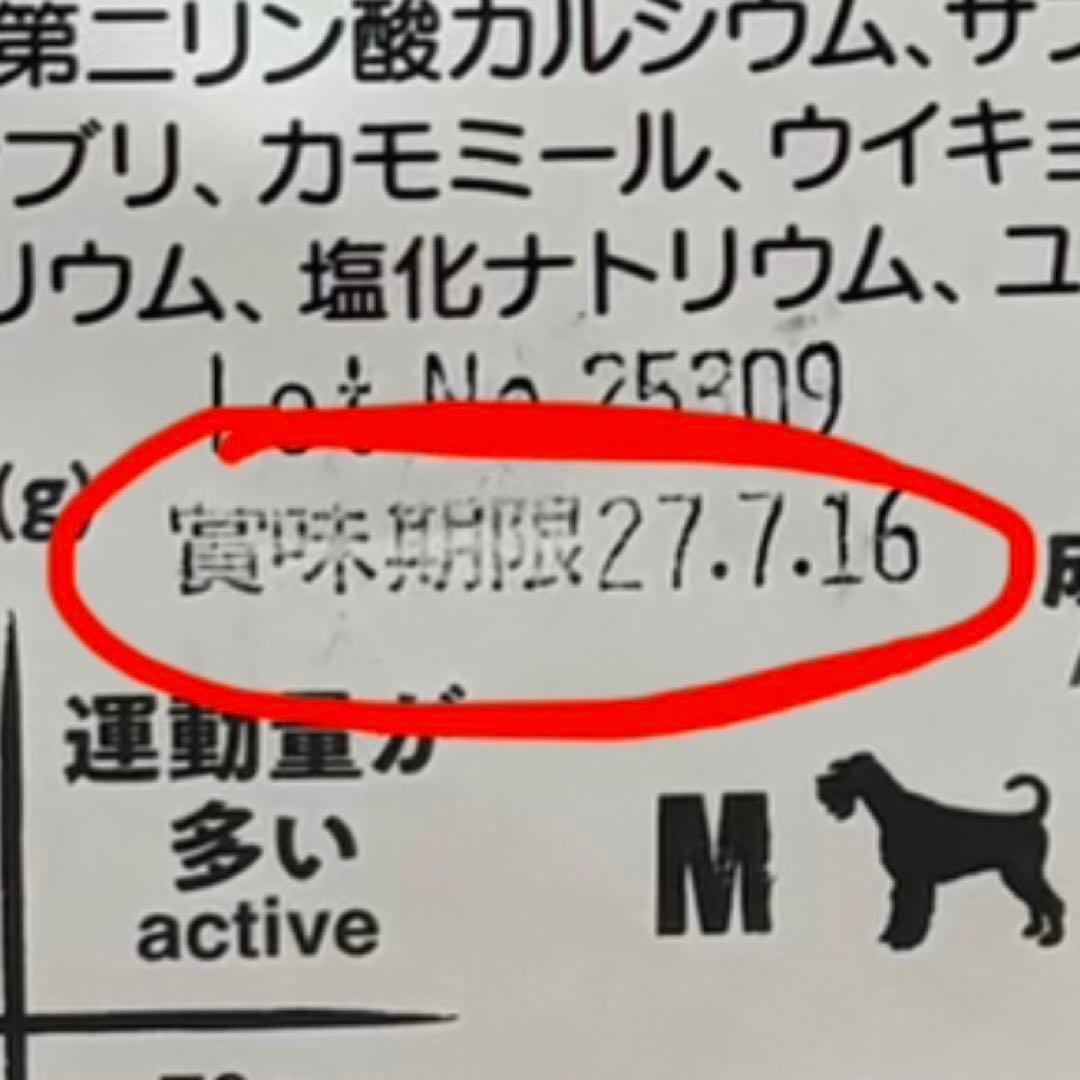 BELCANDO ベルカンド サーモン ドッグ フード 4.6kg 犬 アダルト