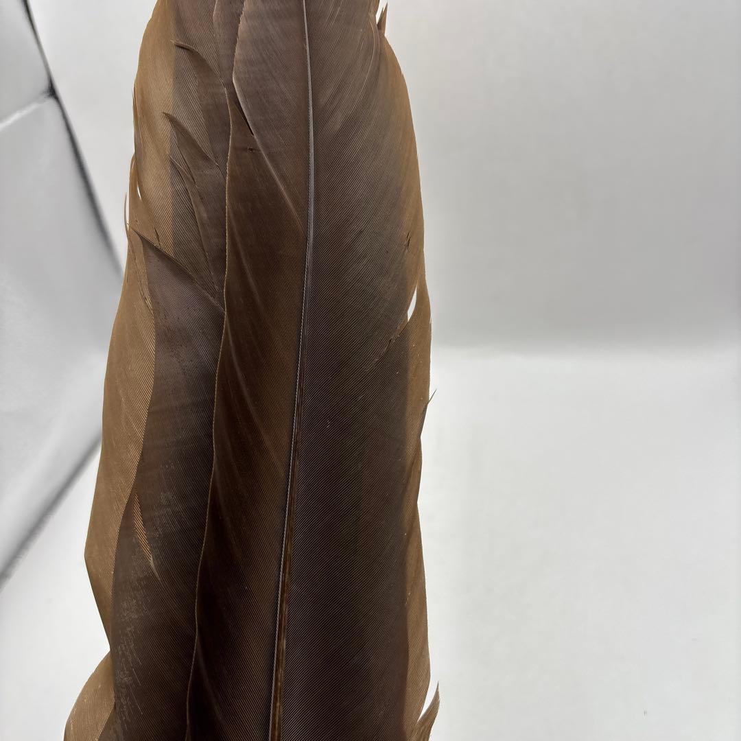 御羽箒座箒（大) 茶道具茶道室49cm