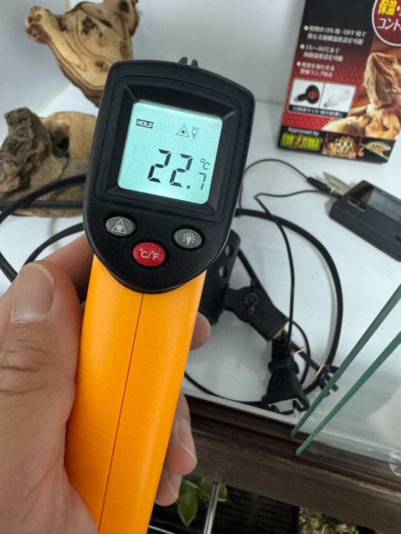 FandK ケージ　飼育セット