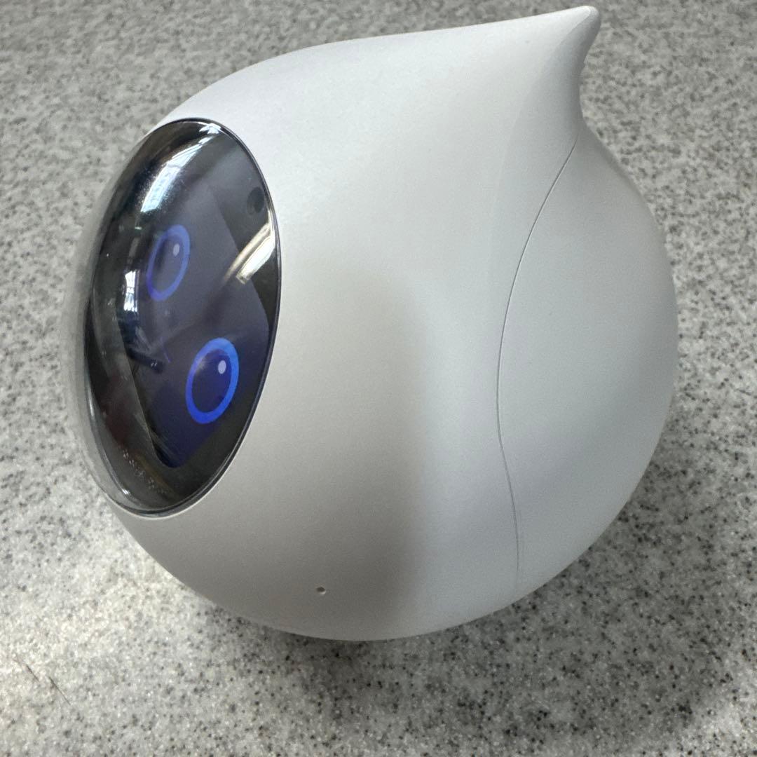 会話AIロボットRomi （本体＋付属品）