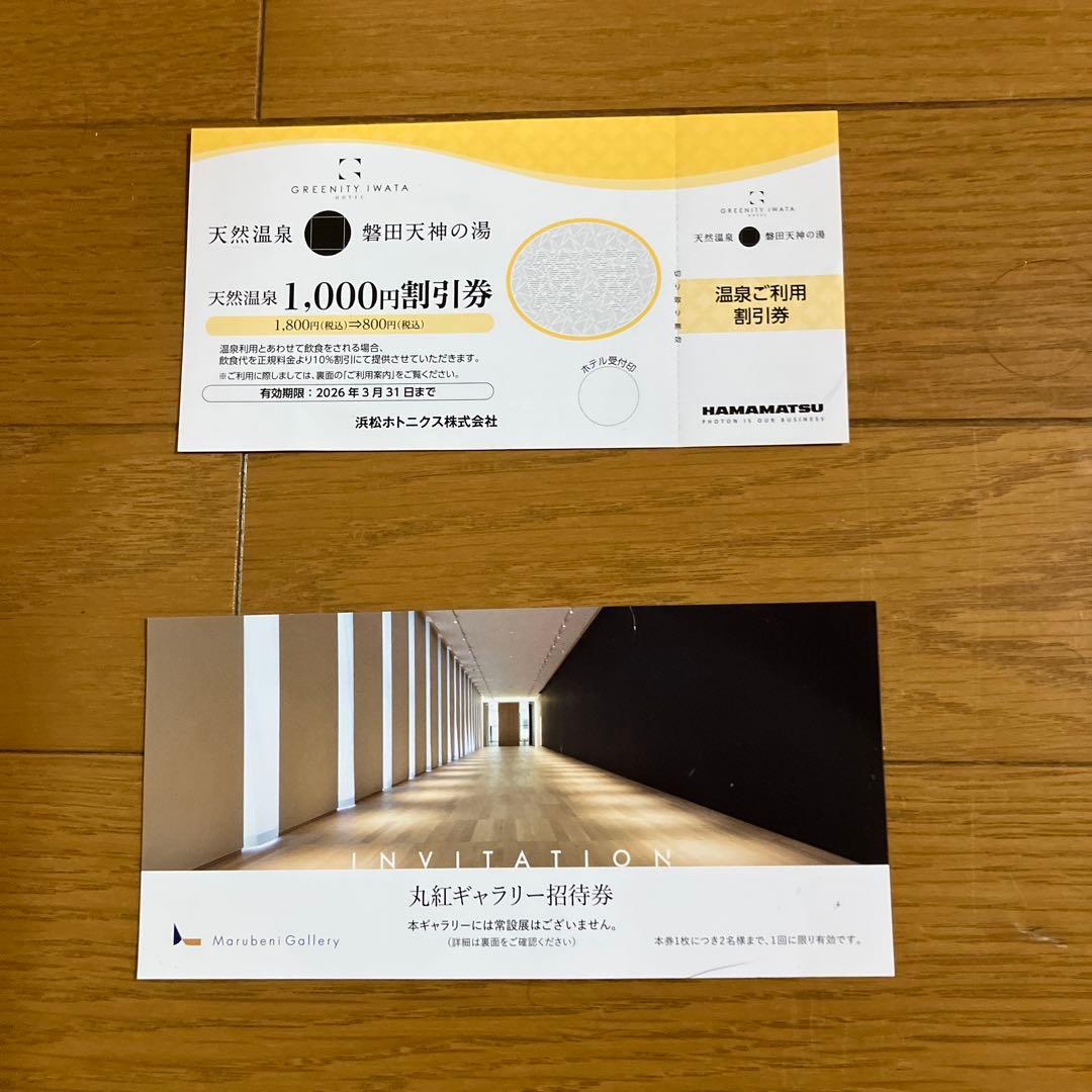 TAYA優待券　3300円優待券３枚 浜松ホトニクスと丸紅のおまけ付き