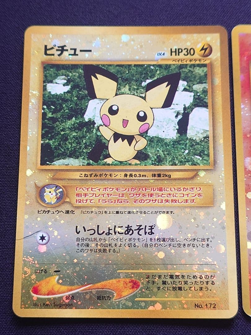 ピチュー　エンテイ　旧裏　プレミアムファイル