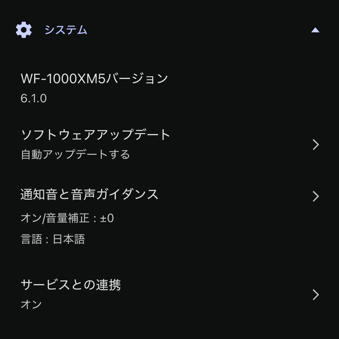 SONY WF-1000XM5 左のみ Ver.6.1.0