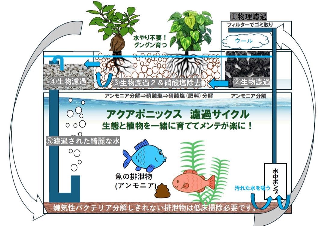 【訳あり】60cmガラス水槽用 上部濾過式アクアリウム水槽　アクアポニックス仕様