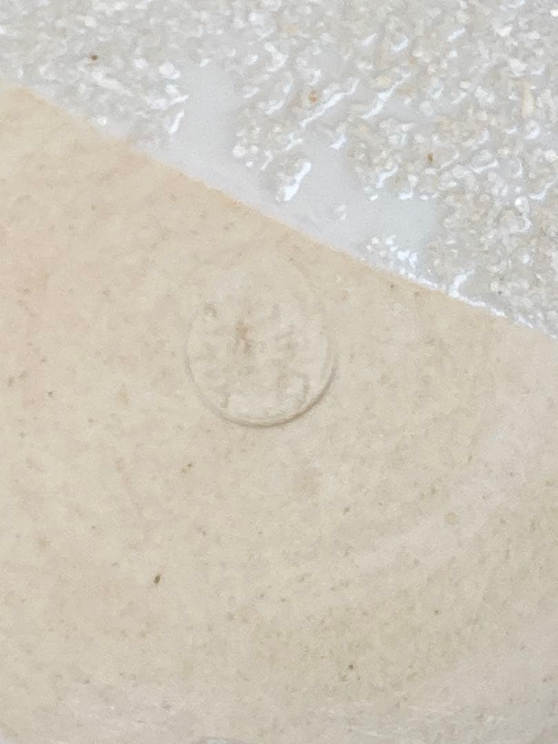 須田青華 作 天啓赤絵風魚網文小鉢 共箱 茶道具 懐石料理 日本料理
