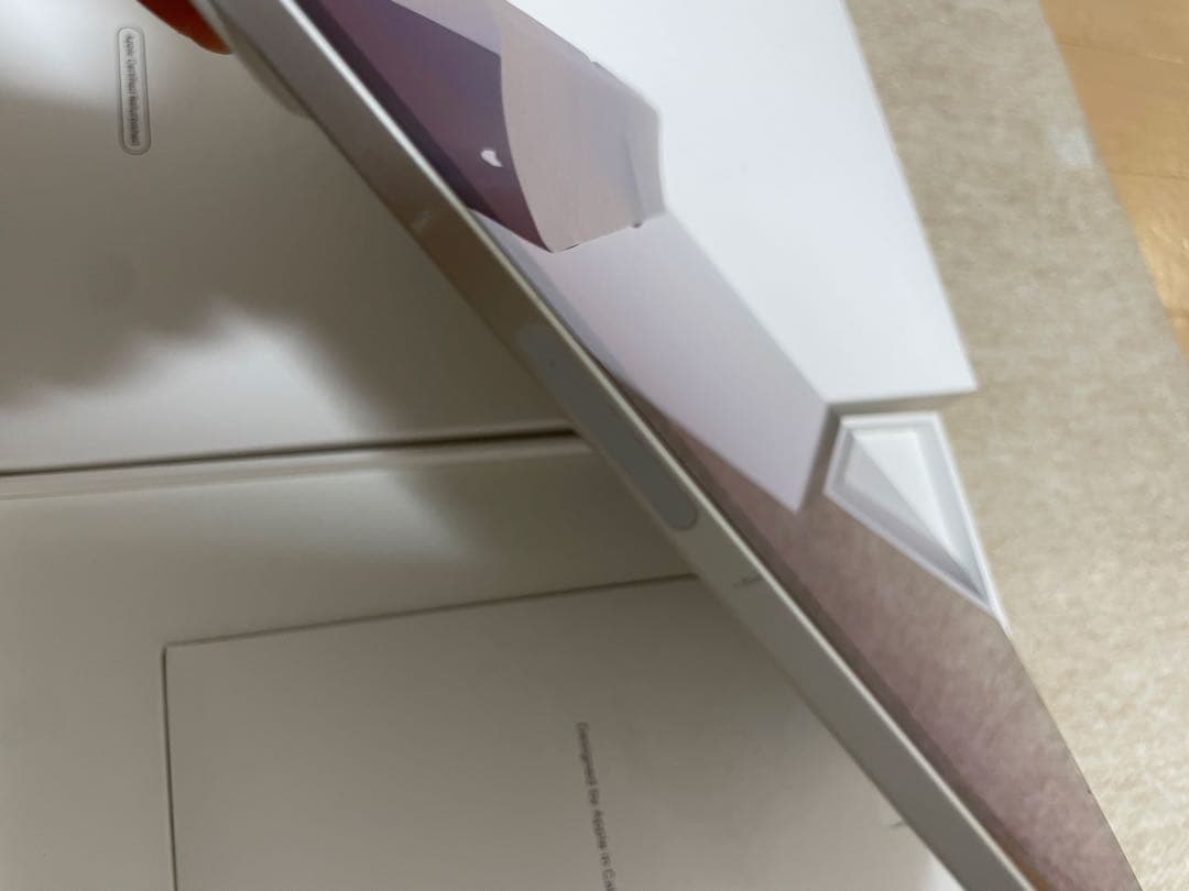 iPad Pro（第一世代）64GB