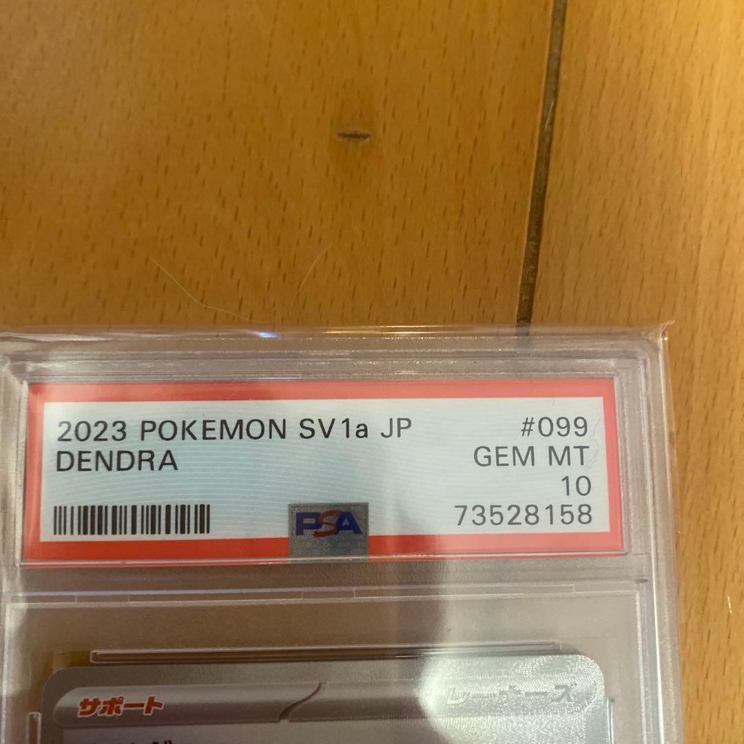 キハダ SAR psa10