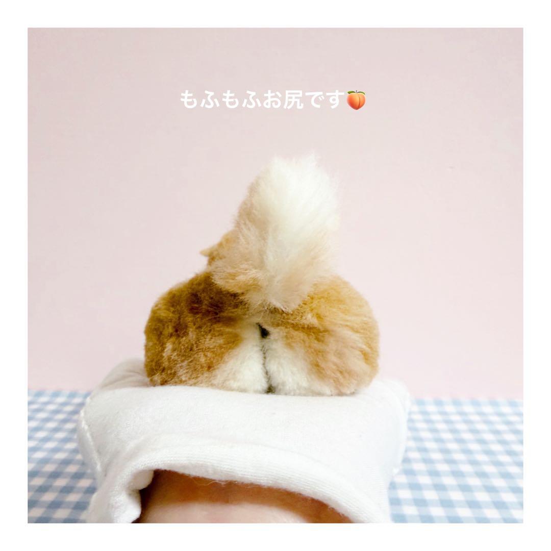 ■送料無料■羊毛フェルト柴犬｜柴犬｜豆柴｜手のりサイズ｜カスタムブライス