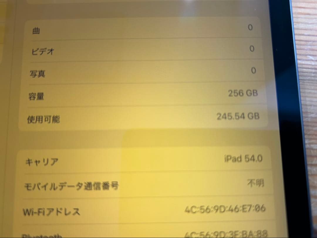 iPad pro 11インチ 第一世代 Cellular 256GB ジャンク品