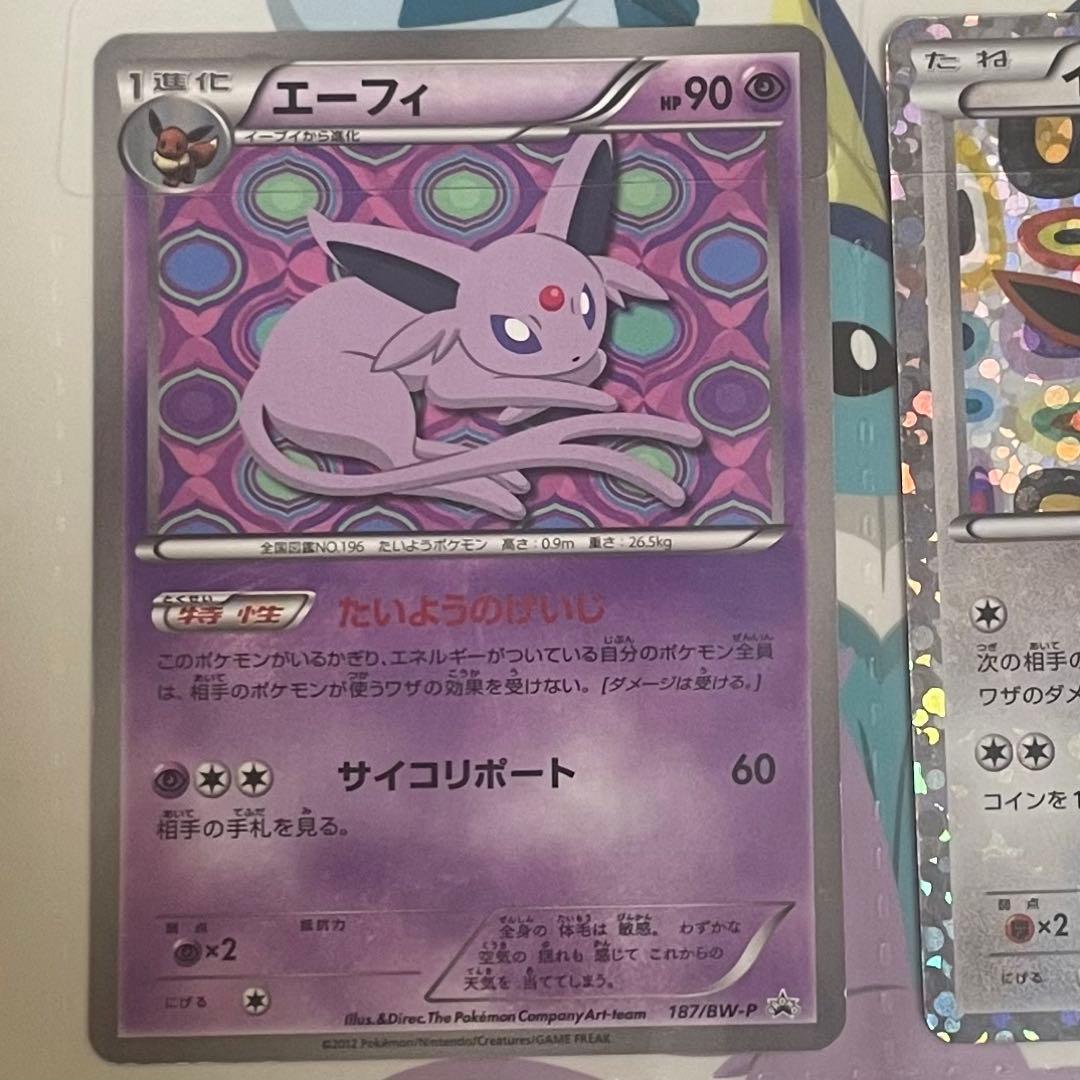 未開封 イーブイコレクションファイル ポケモンカード BW ブラッキー イーブイ