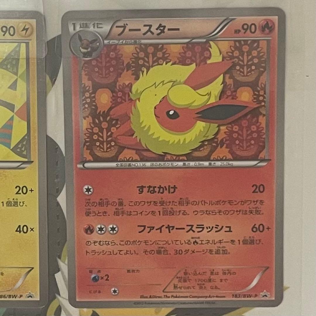 未開封 イーブイコレクションファイル ポケモンカード BW ブラッキー イーブイ