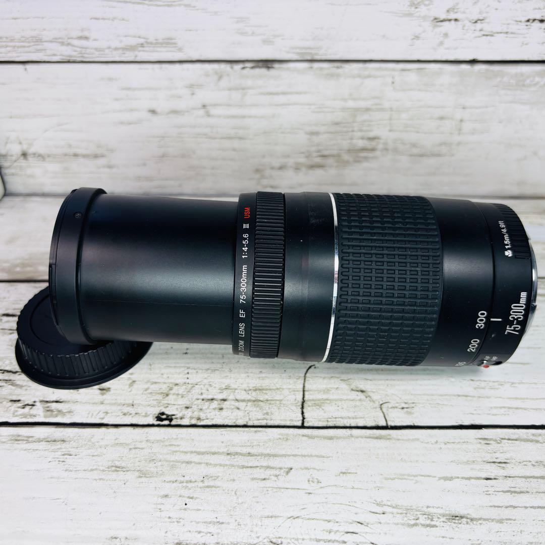 【動作良好】Canon EF 75-300mm F4-5.6 Ⅲ USM
