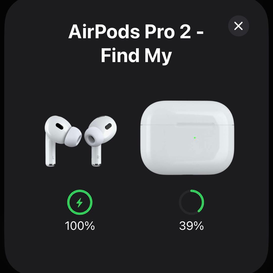 ちゃたろう AirPods Pro 第2世代 USB-C 付属品完備