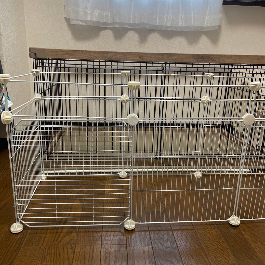 ウサギ飼育セット