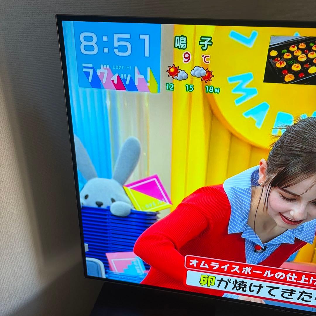 REGZA レグザ　テレビ　48型　2026年製　48X8900R