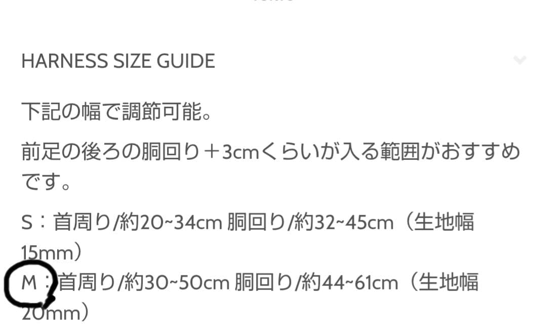 ciiron Tokyo　ハーネス　TBH 　Mサイズ