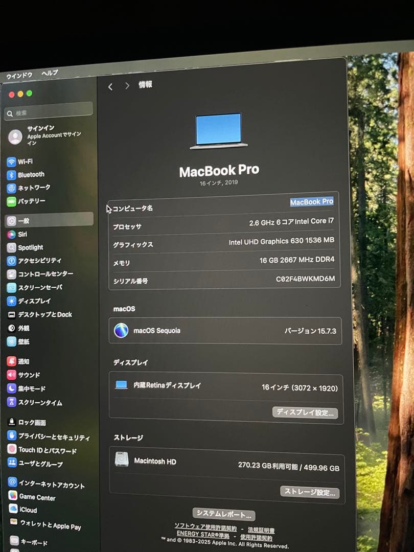 サクラちゃん　美品　MacBookPro 2019 16inch/16GB