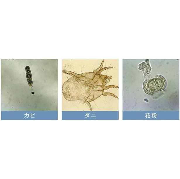 花粉対策　空気清浄機イオニックブリーズGRNDE ホワイトグレー　36