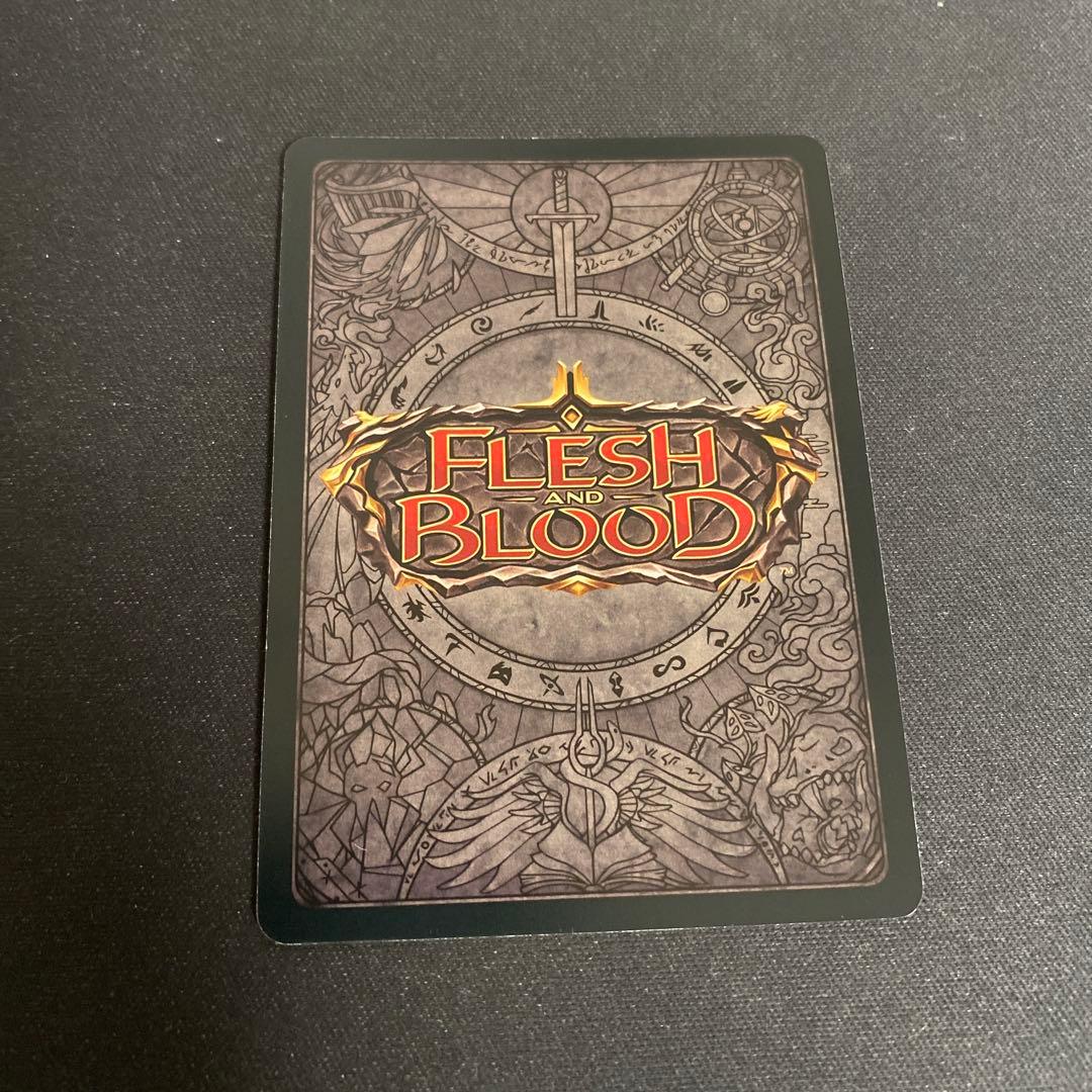 Flesh and Blood 【JP】[汎用]嵐からの避難「L」