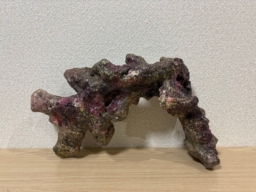 MMC企画レッドシー ATS 枝状ライブロックレプリカ ライブロックモジュールF