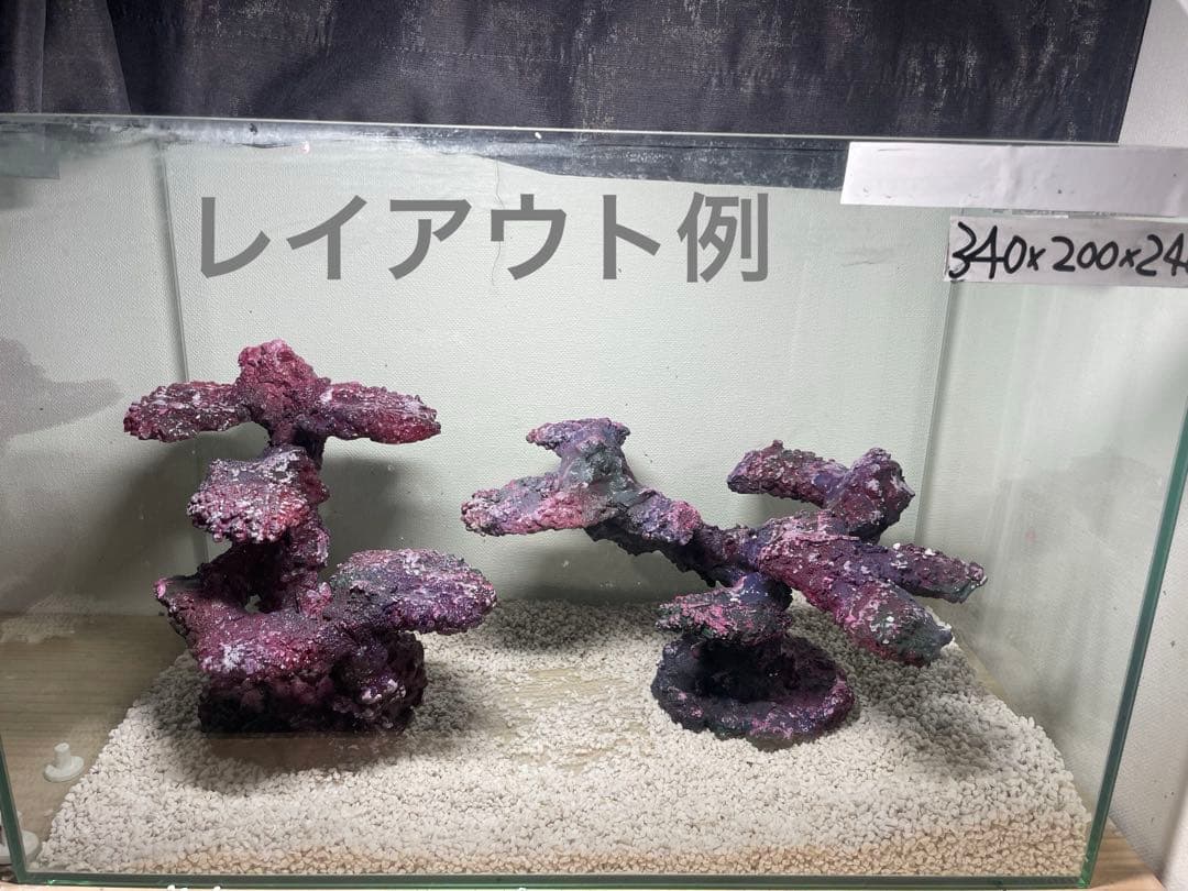 現物在庫SALE‼︎人工ライブロック RR84 アク抜き済み安心塗料使用