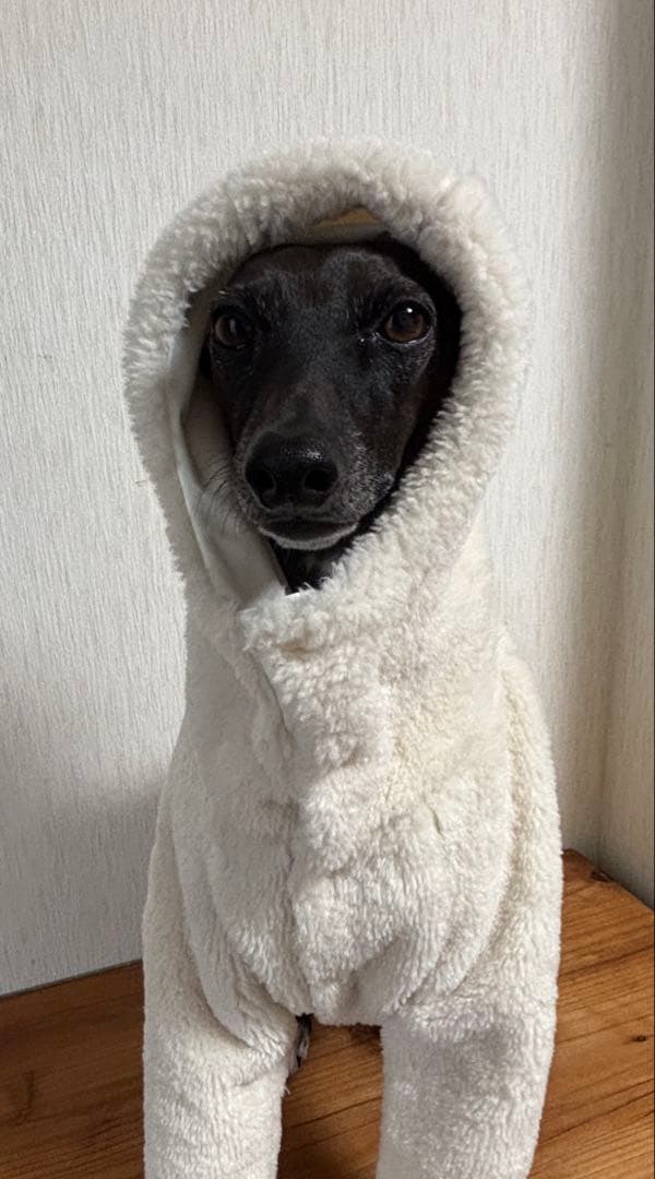 犬服イタグレ服、リバーシブルオーバーボディオール