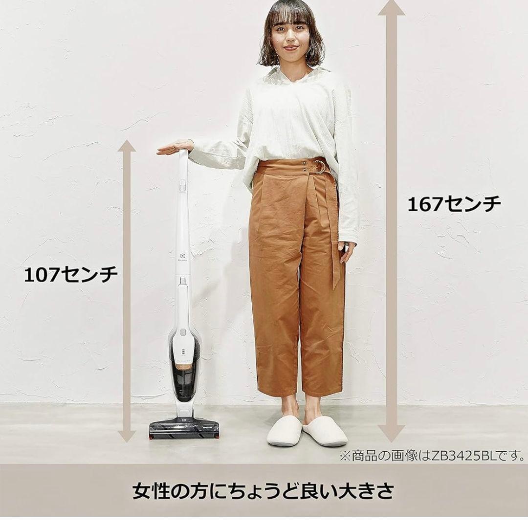 【新品未開封】エルゴラピードリチウムプラチナ ブロンズ ZB3323