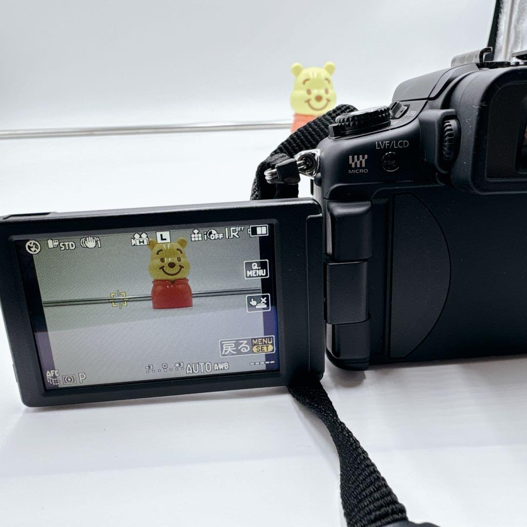 Panasonic LUMIX DMC-G2 14-42mmレンズセット